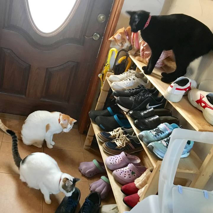 F66b7e9d b457 49cf b87b add9f89b9c18