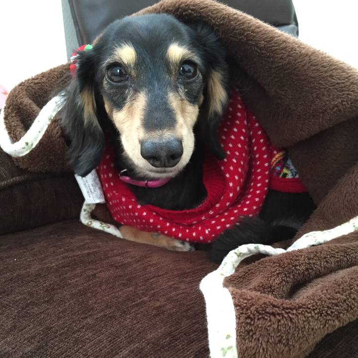 F66c3506 822e 4e62 aa27 01b773fa939a