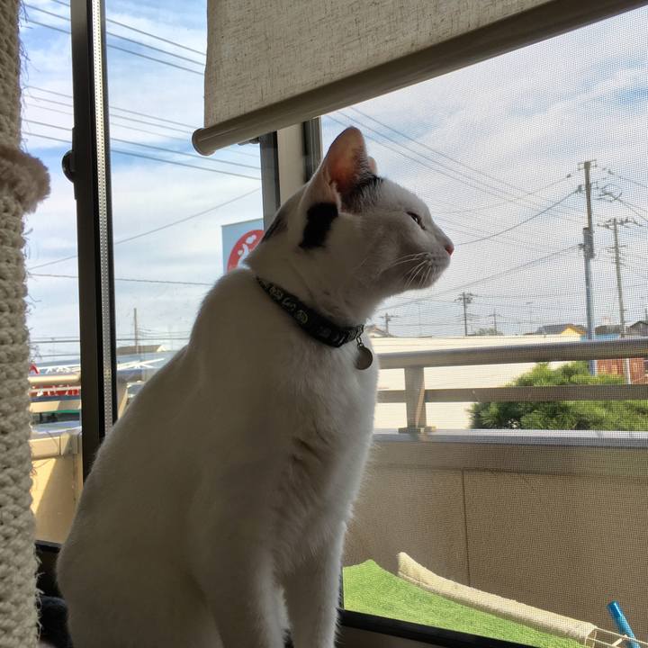 F66c4b01 54c6 4763 be53 d6c7a495df3e