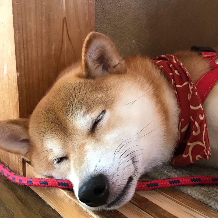 F66c5140 0708 45ad 8d30 0315e0a1580c