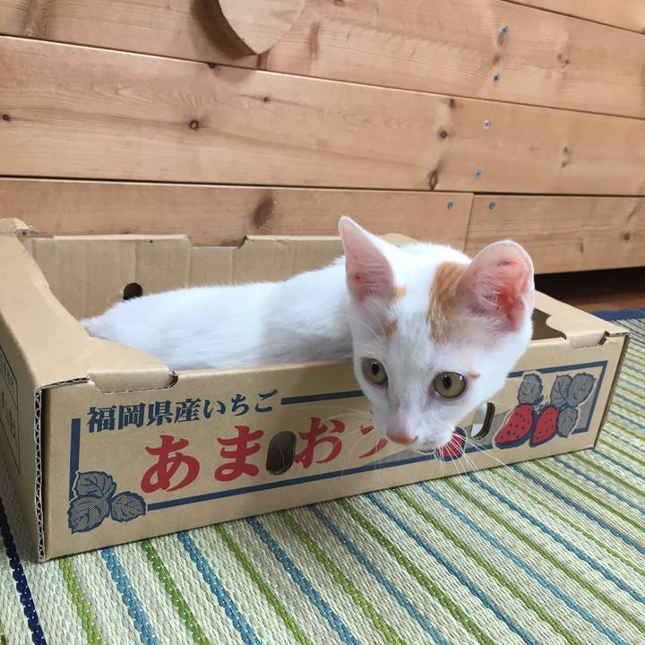 F66ceca3 719e 4526 88b4 84429366b9ad