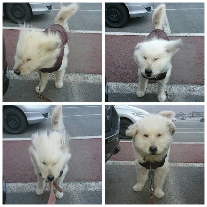 F66cf840 0d2e 483b b9d3 cc774b25544c