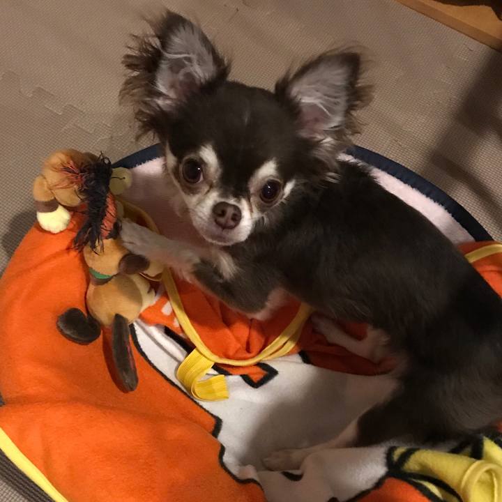 F66d11e5 ec2c 4ea7 828a d8ca28ac38a7