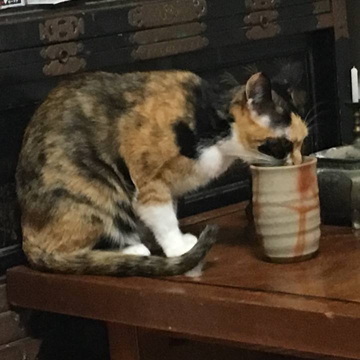 F66d3731 7671 4d03 a9a1 27540653b2f2