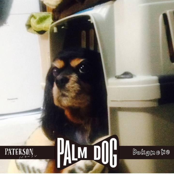 F66f2056 5ca9 4c10 835a a71e63b98c88