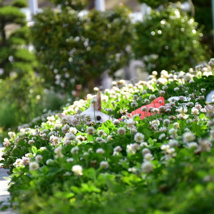 F66f3c1e 2484 44df a0e9 212f6b2a7dd4