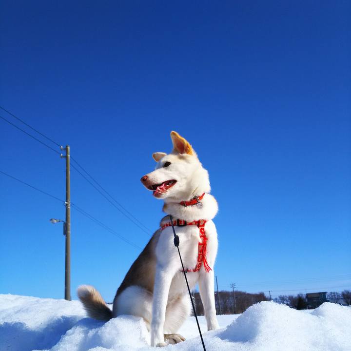 F66f3e8c 648d 4e36 a4b6 c66613522f3d