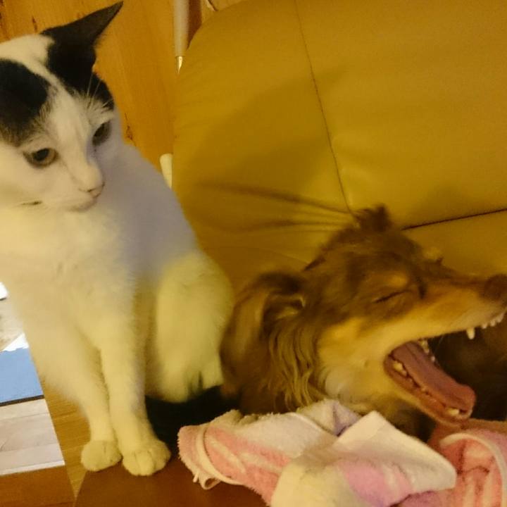 F66f68b8 8bae 4a22 9786 fabd3e612c25