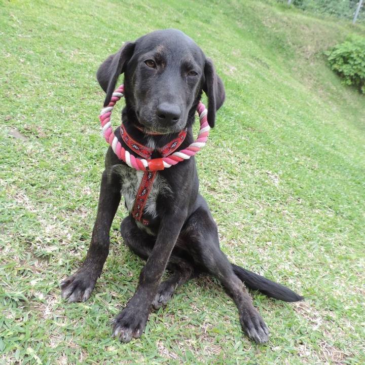 F6700bc3 79bb 48d1 b4e2 e39ddd2d5061