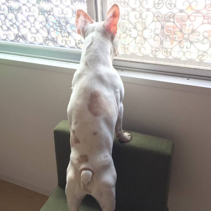 F670ee55 c722 40ff 8b73 72c5e3663107