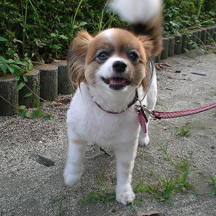 F671564a 7413 4714 9ddb af0f36d238a7