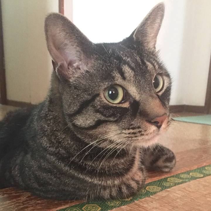 F671da45 bf59 4760 9705 f1f9930504f1