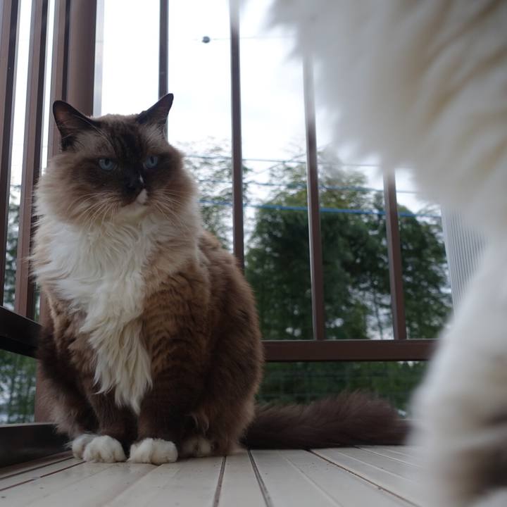 F67212dd 8146 4e75 ba53 996bdc6860e3