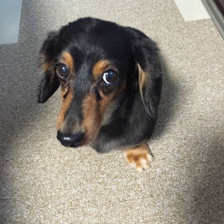 F6722502 ee4a 4be2 ad83 85aec8fb6791