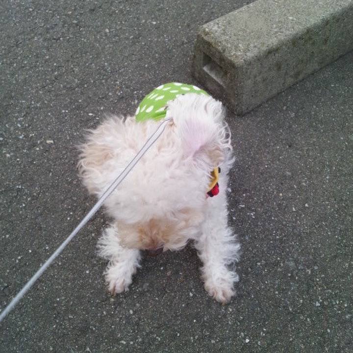 F6723c27 b3b4 4849 b26c 5ce39785fae3