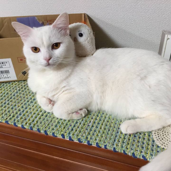 F67242ea 3bb7 4cf6 a6c6 5e433adc7ab1