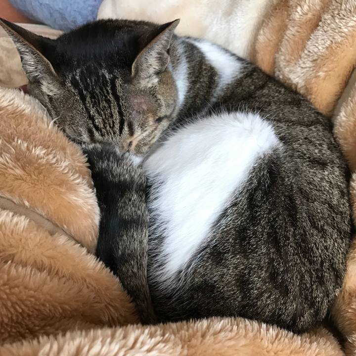 F67271e5 85b1 4b31 bb82 088f60208de0