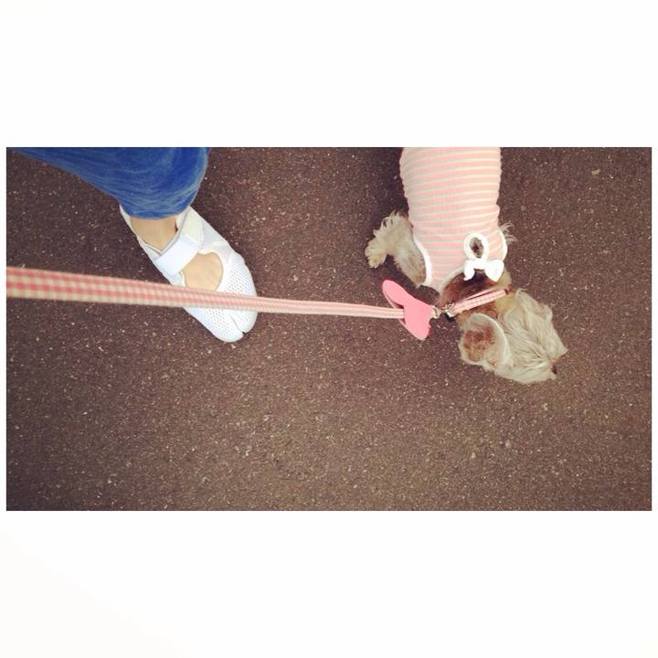 F672884c 9a5c 45ff a148 508701257ff6