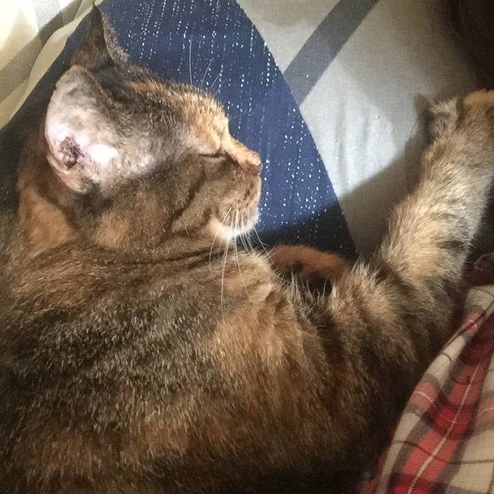 F672bdc7 e407 407f ad4c 2bb1a5f5b570