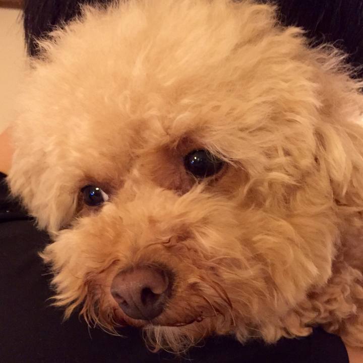 F6737006 9969 4020 9991 4b390f135c71