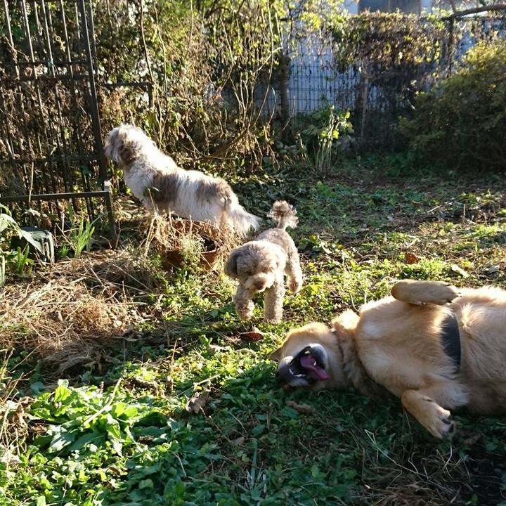 F67377c6 ea43 408c bce0 6283a891eee6