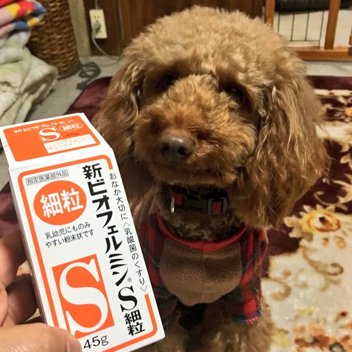 F673c2cd 3051 4e33 967b 5cf4740f7a6f