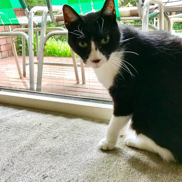 F6746b64 c261 44da 92c1 4a97d9755496