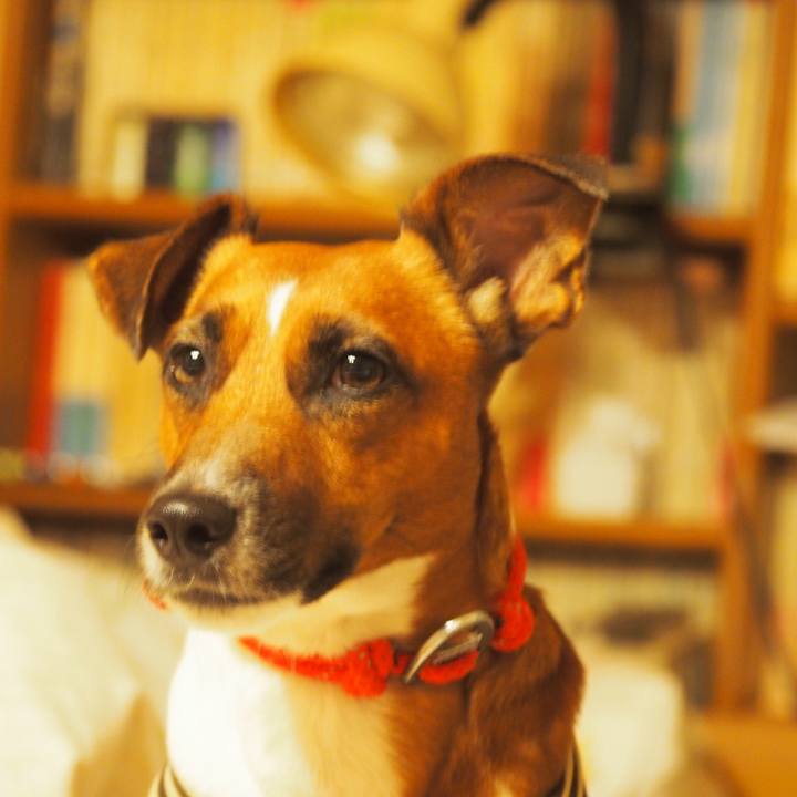 F6749f96 6815 4f19 a34f 3f533ffb005c