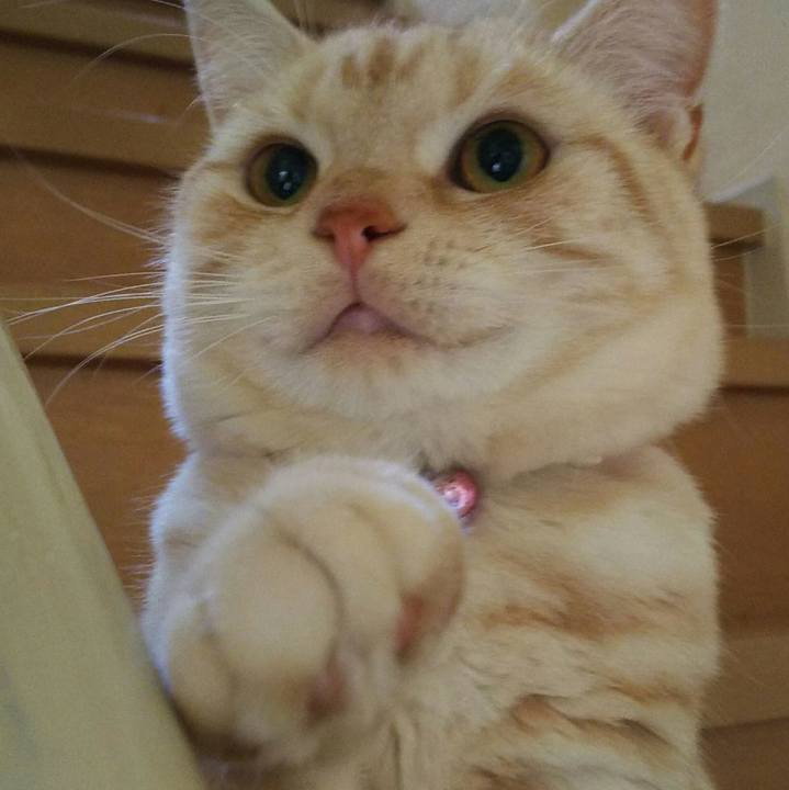 F67544c8 08c8 4213 9481 7d0df27a76ee