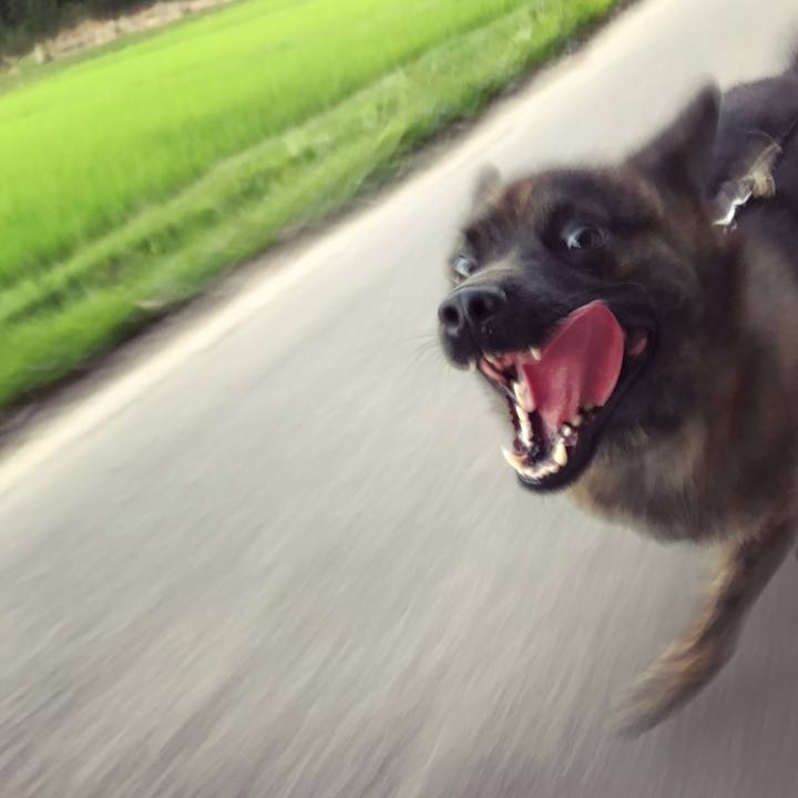 F6759419 b092 494f 8df8 7d6f71bf8a00