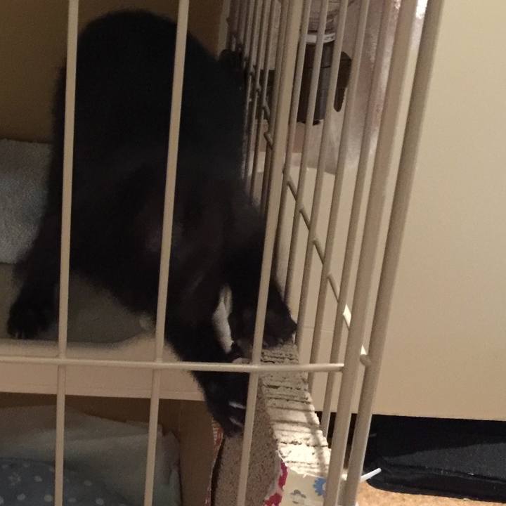 F6759824 7bcb 4f81 a01d 3a7c619107ea