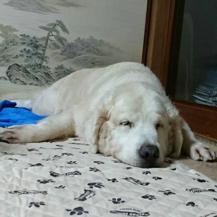 F6760142 4d8b 4da7 a9f4 8ae6be073a6f