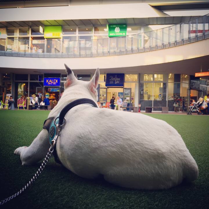 F676f22e 3b76 4214 b6cb 7be7c131a56b