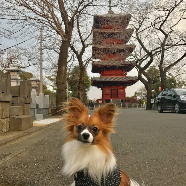 F6773caa 5c24 432d a201 962a631af39a