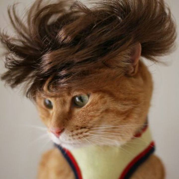 F677846d ad43 4fd3 9e72 f37ea446e714