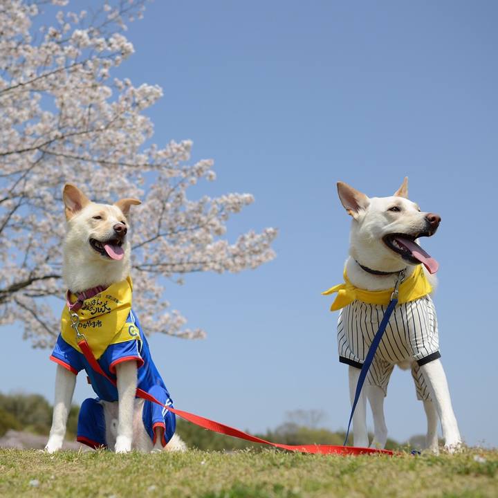 F67795e8 fad4 417b b185 29778fd9638d