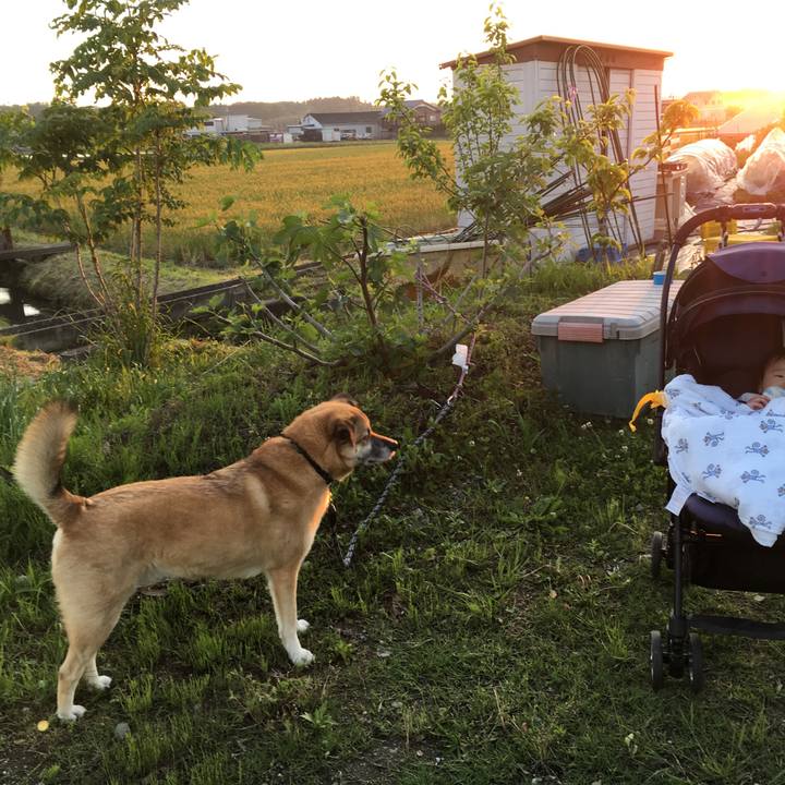 F677e9bb 2df4 4884 9432 1c20d3b8ad59