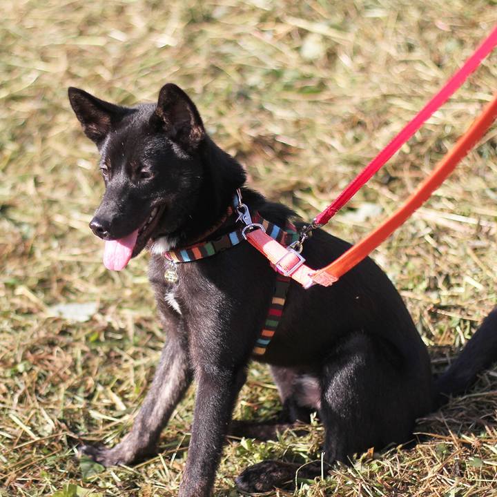 F677ecd8 3f2e 4b93 ae37 521d3fbaf94e