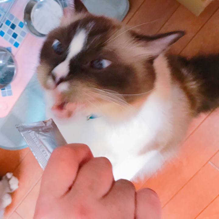 F6781daf 9a82 4bf1 b8a9 7e98c5df943b