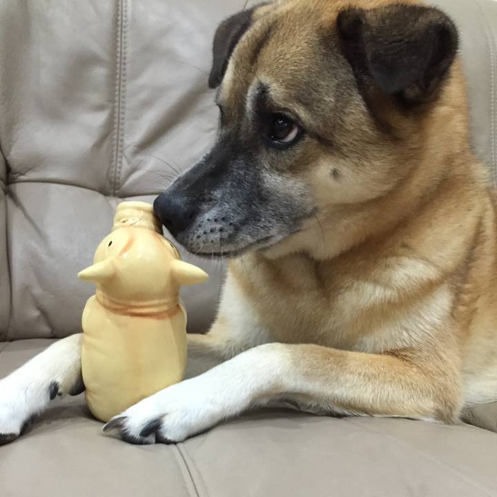 F6789e43 5a21 47a3 85f4 93782a5ad231