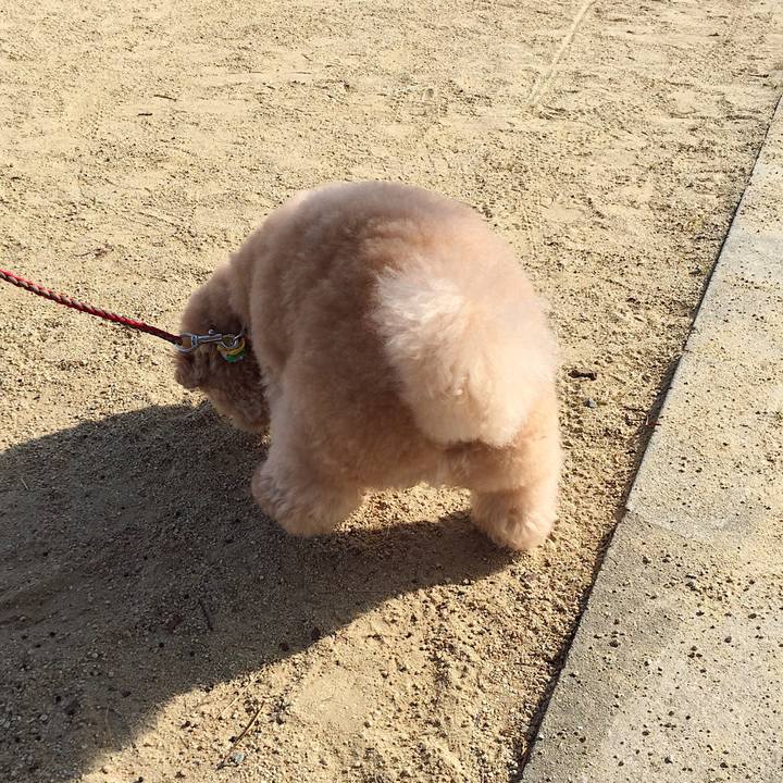 F678a12a 1eda 48c0 aaff 3583757ecd7c