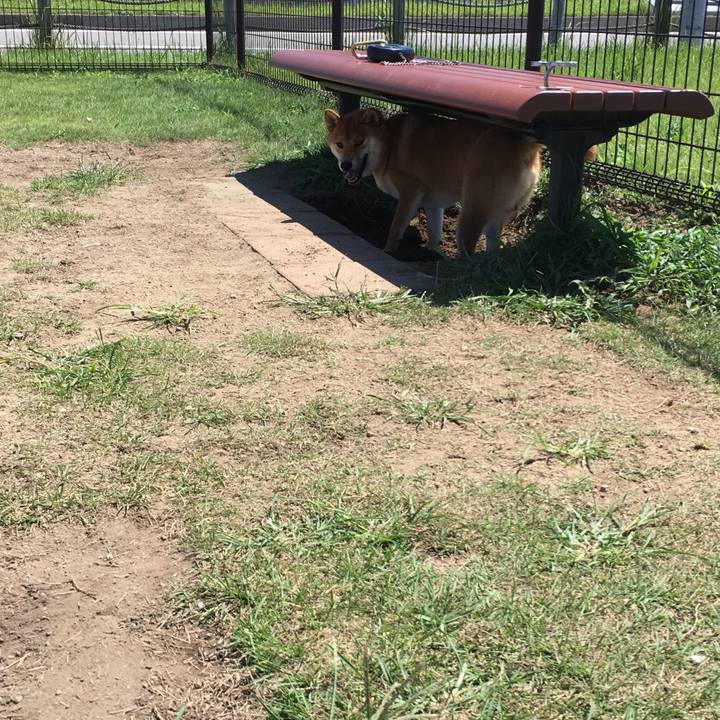 F678e5a0 084f 40c9 a1cf 6c8997d79f42