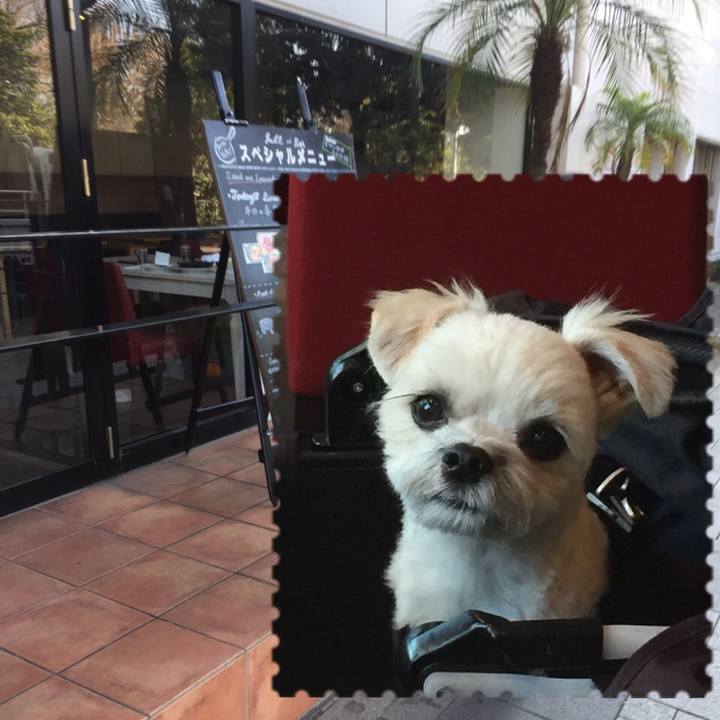 F6791b65 b371 4c79 bb68 008030dfb1bc