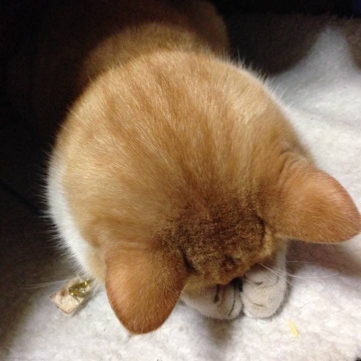 F6799690 ae46 4eeb b373 9915d6258de8