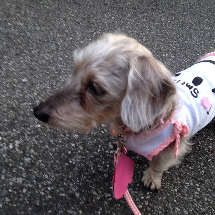 F67a0459 b49f 4ccc b8b4 fcdc2b8a446f