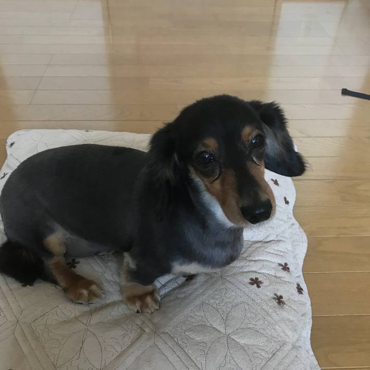 F67a083c 7ea8 4cf3 88a5 a4f746c643cf