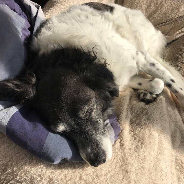 F67a2406 f919 4a77 a792 05d51c4949a2