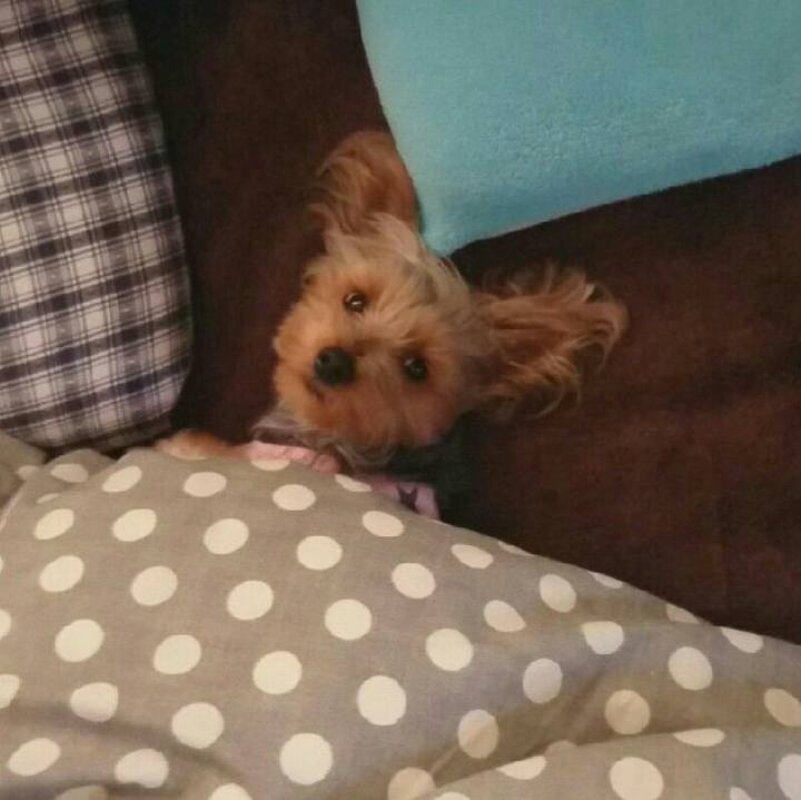 F67a28fe 897a 4c31 beb0 189226407dad