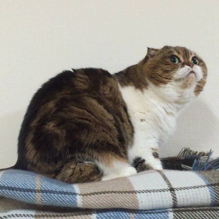 F67a6915 89a5 4468 ba6b 79c3d7d4c22a