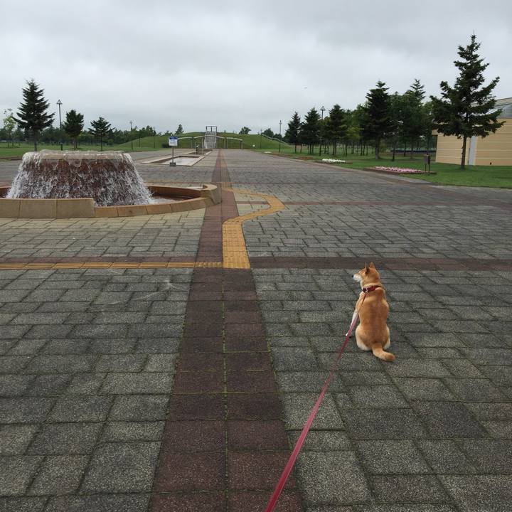 F67b19f2 9a86 4c03 8be1 c093800631de